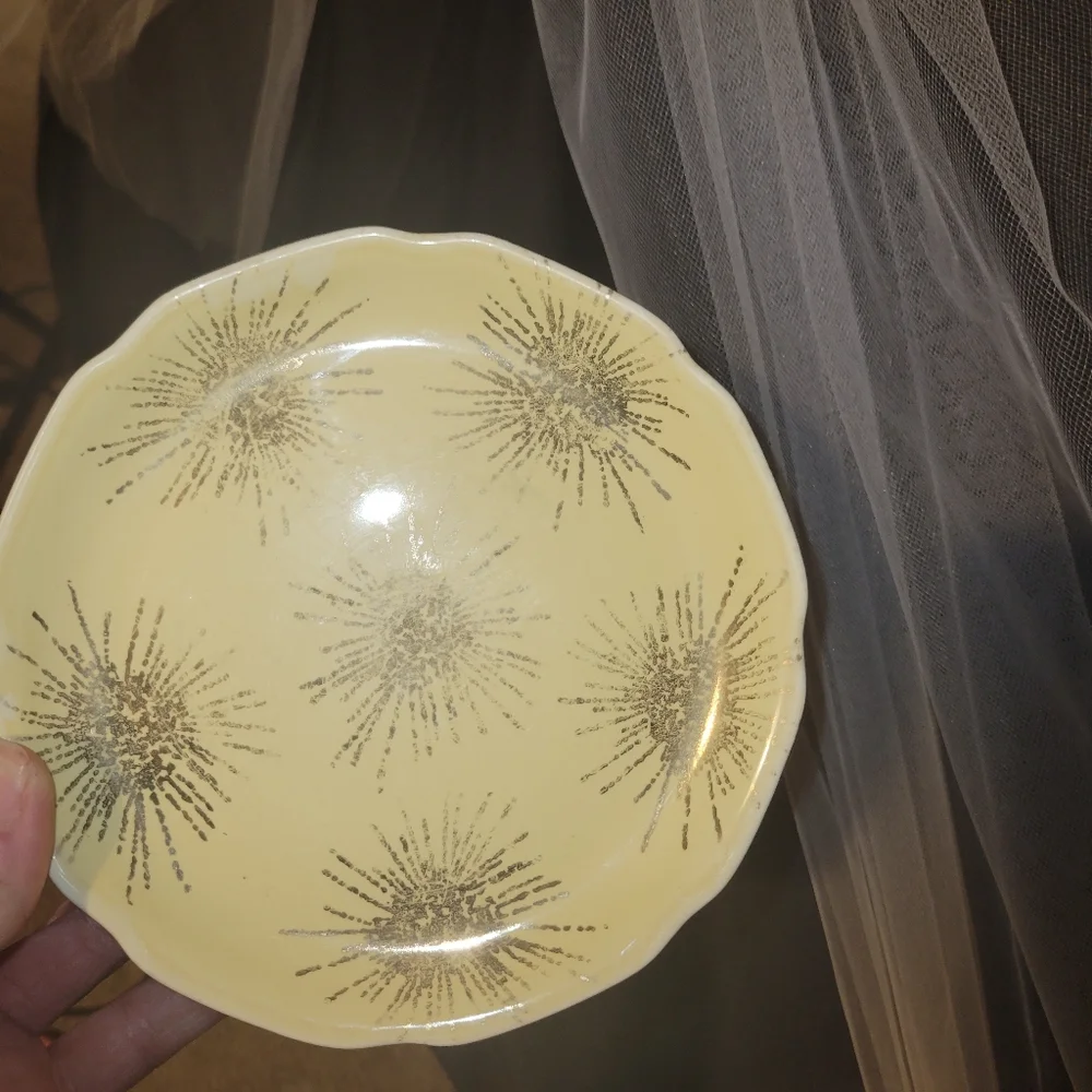 I have  8 of pink plates of pink an marbled an 6 I believe  of the gold splatter